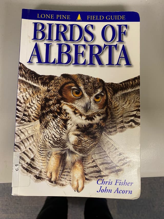 Birds Of Alberta